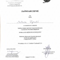Powiększ obraz: certificate 28