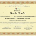 Powiększ obraz: certificate 39