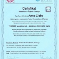 Powiększ obraz: certificate 3