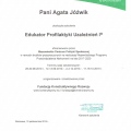Powiększ obraz: certificate 5