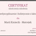 Powiększ obraz: certificate 9