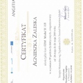 Powiększ obraz: certificate 4
