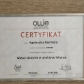 Powiększ obraz: certificate 14