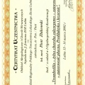 Powiększ obraz: certificate 58