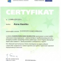 Powiększ obraz: certificate 27