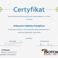 Powiększ obraz: certificate 2