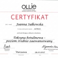 Powiększ obraz: certificate 3