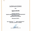 Powiększ obraz: certificate 3