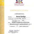 Powiększ obraz: certificate 8