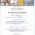 Powiększ obraz: certificate 5