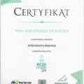 Powiększ obraz: certificate 11