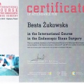 Powiększ obraz: certificate 3