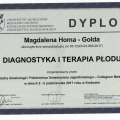 Powiększ obraz: certificate 68