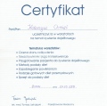 Powiększ obraz: certificate 10