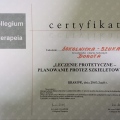 Powiększ obraz: certificate 8