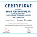 Powiększ obraz: certificate 10