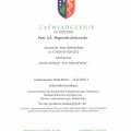 Powiększ obraz: certificate 7