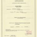 Powiększ obraz: certificate 3