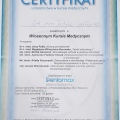 Powiększ obraz: certificate 34