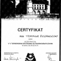 Powiększ obraz: certificate 1