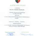 Powiększ obraz: certificate 11