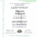 Powiększ obraz: certificate 11
