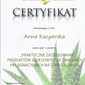 Powiększ obraz: certificate 11