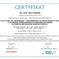 Powiększ obraz: certificate 17