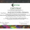Powiększ obraz: certificate 3