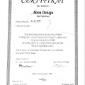 Powiększ obraz: certificate 5