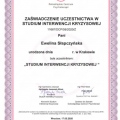 Powiększ obraz: certificate 1