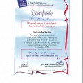 Powiększ obraz: certificate 12