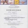 Powiększ obraz: certificate 1
