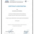 Powiększ obraz: certificate 2