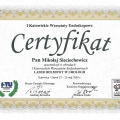 Powiększ obraz: certificate 4
