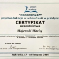 Powiększ obraz: certificate 10