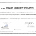 Powiększ obraz: certificate 2