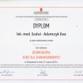 Powiększ obraz: certificate 3