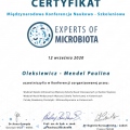 Powiększ obraz: certificate 28