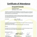 Powiększ obraz: certificate 3