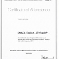 Powiększ obraz: certificate 7