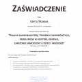 Powiększ obraz: certificate 2