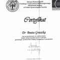 Powiększ obraz: certificate 2