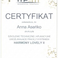 Powiększ obraz: certificate 47