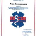 Powiększ obraz: certificate 11