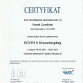 Powiększ obraz: certificate 13
