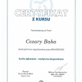 Powiększ obraz: certificate 4