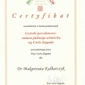 Powiększ obraz: certificate 4
