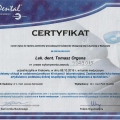 Powiększ obraz: certificate 4