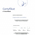 Powiększ obraz: certificate 13
